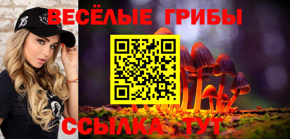 Галлюциногенные грибы Psilocybine cubensis  Вход с VPN  Вольск 