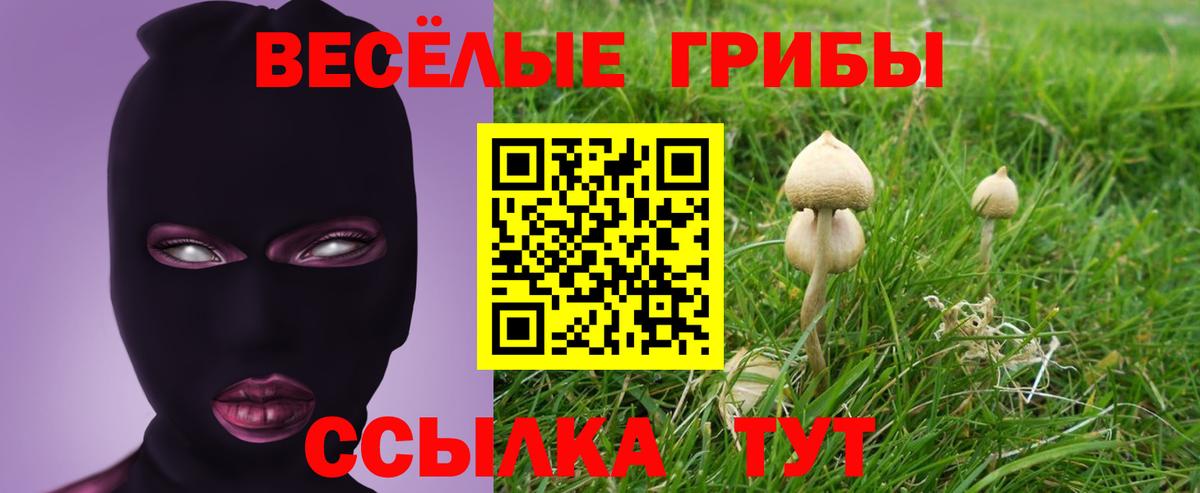 Псилоцибиновые грибы ЛСД Вольск